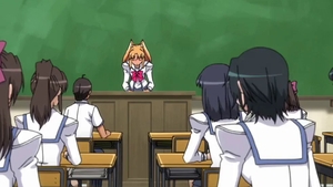 Dick sucking accompanied by large tits